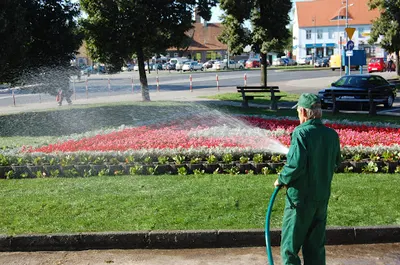 Saikei Bublis Paweł - Tereny zieleni. Systemy nawadniające. Sprzątanie. Koszenie